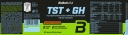 BiotechUSA TST & GH Hormonoptimierung  - 300g Orange