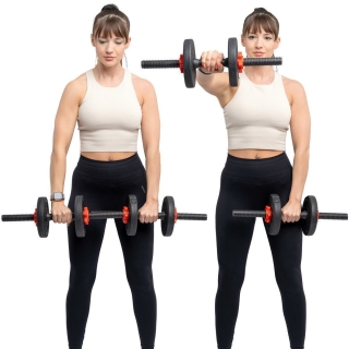 Kurz-Langhantelset - 30kg